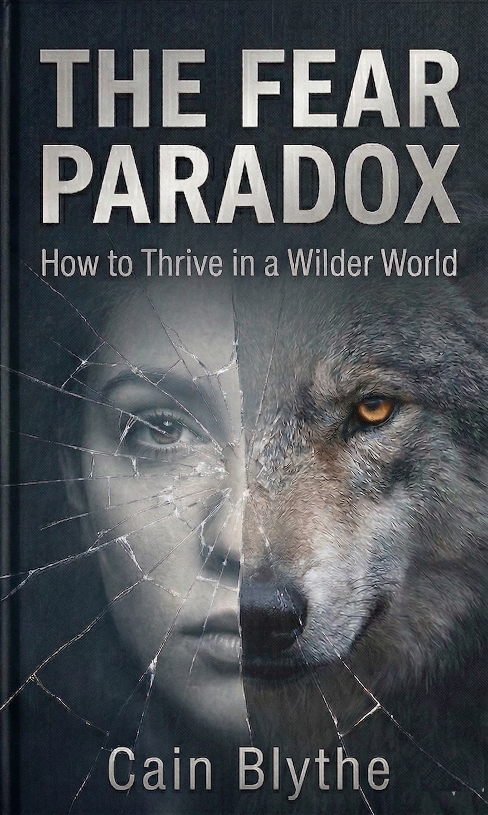 The Fear Paradox book cover