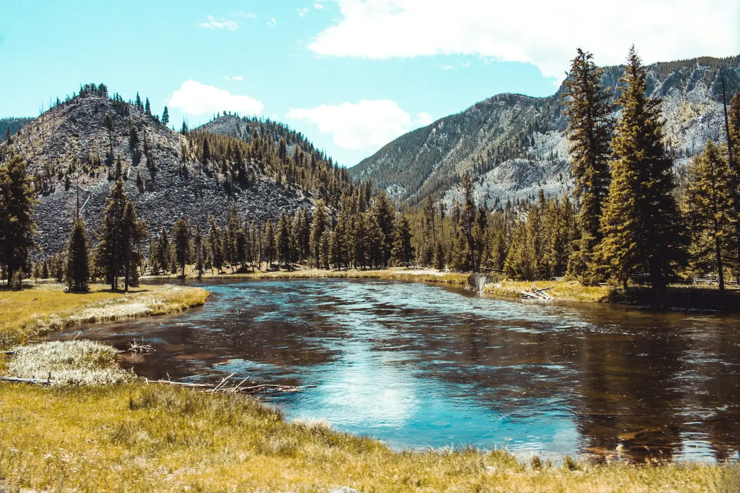 River valley in Yellowstone National Park